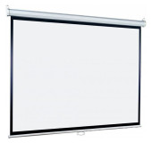 Экран Lumien 105" 164x240см Eco Picture LEP-100118 16:9 настенно-потолочный рулонный