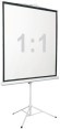 Экран Digis 100" 180x180см Kontur-D DSKD-1105 1:1 напольный рулонный Экран Digis 100" 180x180см Kontur-D DSKD-1105 1:1 напольный рулонный