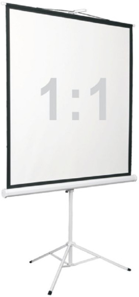 Экран Digis 100" 180x180см Kontur-D DSKD-1105 1:1 напольный рулонный Экран Digis 100" 180x180см Kontur-D DSKD-1105 1:1 напольный рулонный