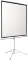 Экран Digis 100" 180x180см Kontur-D DSKD-1105 1:1 напольный рулонный Экран Digis 100" 180x180см Kontur-D DSKD-1105 1:1 напольный рулонный