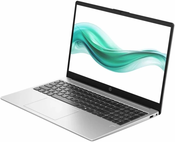 Ноутбук HP 250R G10 Core 3 100U 8Gb SSD512Gb Intel Graphics 15.6" IPS HD (1366x768) без ОС silver WiFi BT Cam (C91W6AT)