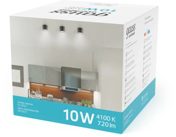 Светильник Gauss Overhead потолоч. 10Вт 4100K цв.св.:белый нейтральный серебристый (HD020)