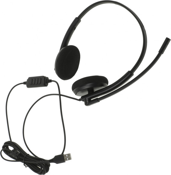 Наушники с микрофоном Creative HS-220 черный 2.4м накладные USB оголовье (51EF1070AA000) Наушники с микрофоном Creative HS-220 черный 2.4м накладные USB оголовье (51EF1070AA000)