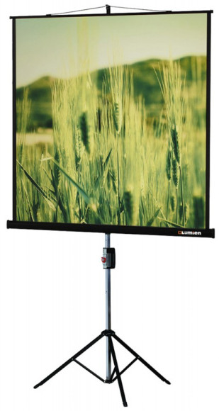 Экран Lumien 67" 127x127см Master Picture LMP-100101 1:1 настенный рулонный белый