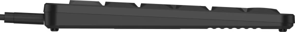 Клавиатура A4Tech FX55 черный USB slim Multimedia кабель 1.5м