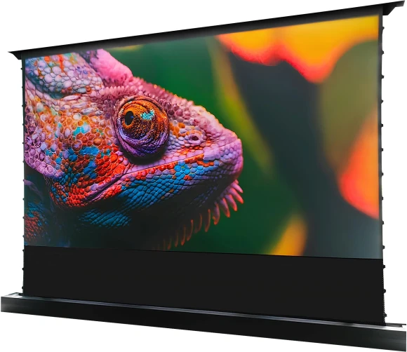 Экран Cactus 100" 125x221см FloorRising CS-PSFRCLR-221X125 16:9 напольный рулонный черный (моторизованный привод) Экран Cactus 100" 125x221см FloorRising CS-PSFRCLR-221X125 16:9 напольный рулонный черный (моторизованный привод)