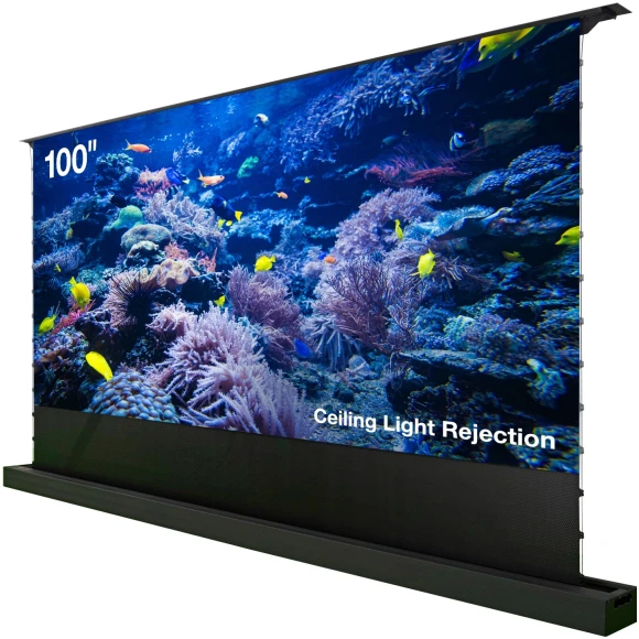 Экран Cactus 100" 125x221см FloorRising CS-PSFRCLR-221X125 16:9 напольный рулонный черный (моторизованный привод) Экран Cactus 100" 125x221см FloorRising CS-PSFRCLR-221X125 16:9 напольный рулонный черный (моторизованный привод)