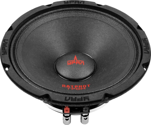 Колонки автомобильные Ural АС-ПТ165.2 ГРОМ (без решетки) 600Вт 99.7дБ 4Ом 16.5см (6 1/2дюйм) (ком.:1кол.) широкополосные однополосные Колонки автомобильные Ural АС-ПТ165.2 ГРОМ (без решетки) 600Вт 99.7дБ 4Ом 16.5см (6 1/2дюйм) (ком.:1кол.) широкополосные однополосные