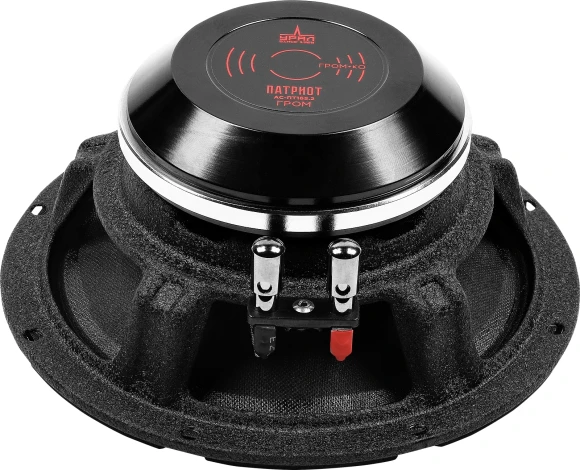 Колонки автомобильные Ural АС-ПТ165.2 ГРОМ (без решетки) 600Вт 99.7дБ 4Ом 16.5см (6 1/2дюйм) (ком.:1кол.) широкополосные однополосные Колонки автомобильные Ural АС-ПТ165.2 ГРОМ (без решетки) 600Вт 99.7дБ 4Ом 16.5см (6 1/2дюйм) (ком.:1кол.) широкополосные однополосные