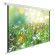 Экран Cactus 111" 200x200см WallExpert CS-PSWE-200x200-WT 1:1 настенно-потолочный рулонный