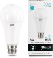 Лампа светодиодная Gauss Globe Elementary 30Вт цок.:E27 груша 220B 4100K св.свеч.бел.нейт. А67 (упак.:1шт) (73229) Лампа светодиодная Gauss Globe Elementary 30Вт цок.:E27 груша 220B 4100K св.свеч.бел.нейт. А67 (упак.:1шт) (73229)