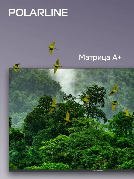 Телевизор QLED PolarLine 55" 55PQ71STC-SM Frameless черный 4K Ultra HD 60Hz DVB-T DVB-T2 DVB-C DVB-S2 USB WiFi Smart TV (RUS)