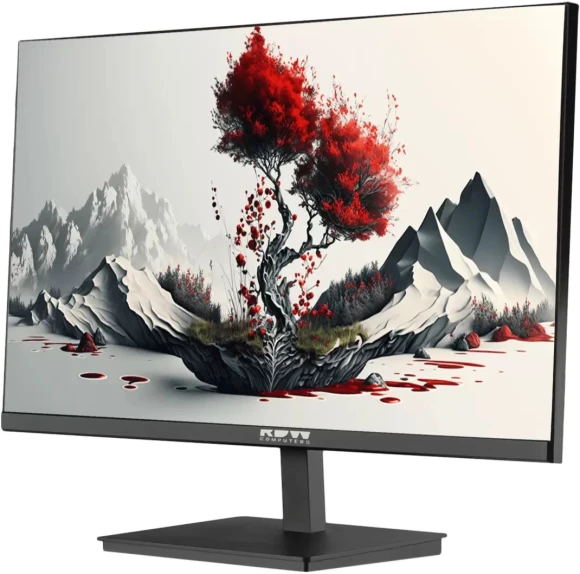 Монитор RDW Computers 23.8" RDW2401K черный IPS 4ms 16:9 HDMI матовая 300cd 178гр/178гр 1920x1080 100Hz VGA DP FHD 4.185кг (RUS)