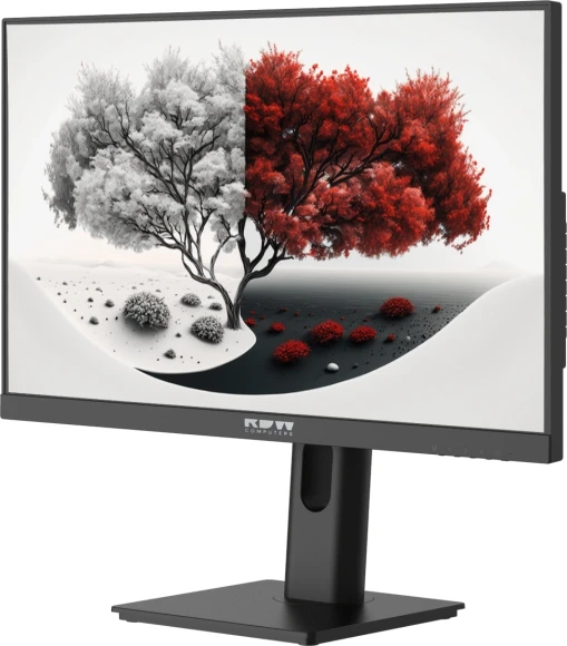 Монитор RDW Computers 23.8" RDW2401K черный IPS 4ms 16:9 HDMI матовая 300cd 178гр/178гр 1920x1080 100Hz VGA DP FHD 4.185кг (RUS) Монитор RDW Computers 23.8" RDW2401K черный IPS 4ms 16:9 HDMI матовая 300cd 178гр/178гр 1920x1080 100Hz VGA DP FHD 4.185кг (RUS)