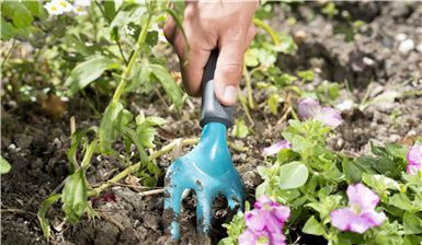 Вилы садовые Gardena 08952-20.000.00 Вилы садовые Gardena 08952-20.000.00