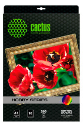 Холст Cactus CS-CA326010 A3/260г/м2/10л./белый хлопок для струйной печати Холст Cactus CS-CA326010 A3/260г/м2/10л./белый хлопок для струйной печати