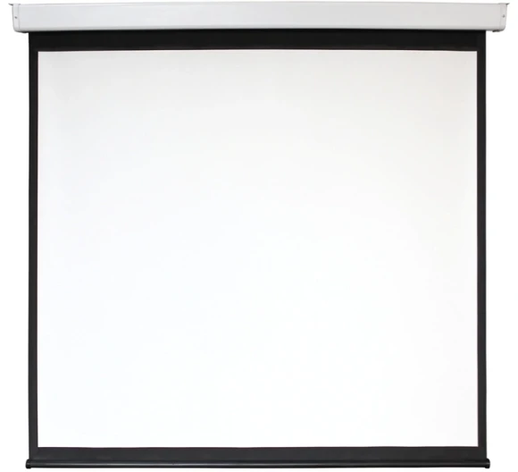 Экран Digis 135" 240x240см Electra-F DSEF-1108 1:1 настенно-потолочный рулонный (моторизованный привод)