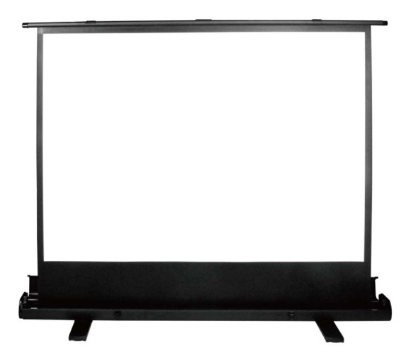 Экран Cactus 79" 120x160см FloorExpert CS-PSFLE-160X120 4:3 напольный рулонный