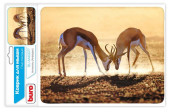 Коврик для мыши Buro BU-M40077 Мини рисунок/антилопы 230x180x2мм Коврик для мыши Buro BU-M40077 Мини рисунок/антилопы 230x180x2мм