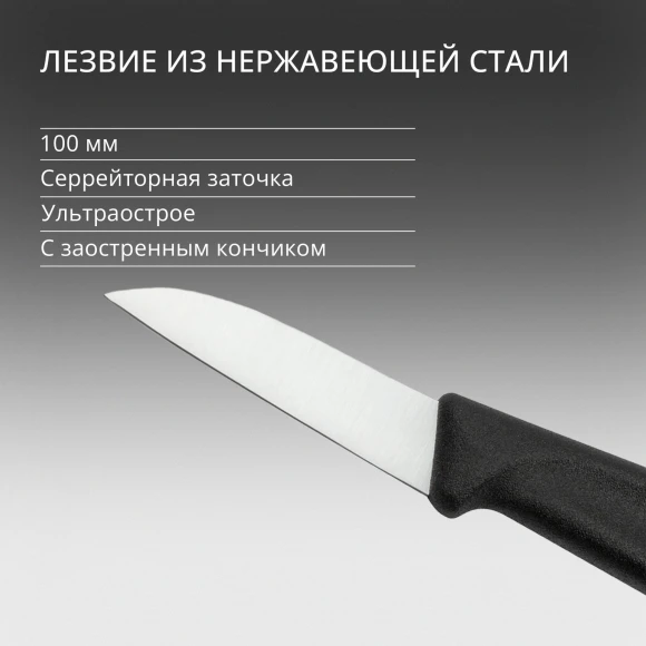 Нож кухонный Victorinox Swiss Classic (6.7303) стальной лезв.60мм прямая заточка черный Нож кухонный Victorinox Swiss Classic (6.7303) стальной лезв.60мм прямая заточка черный