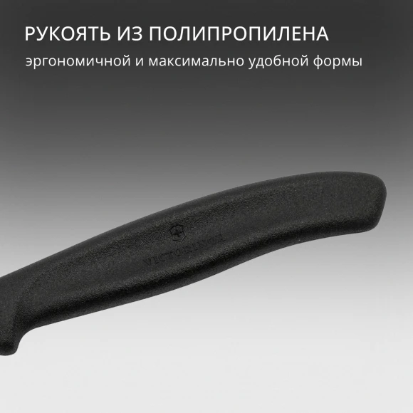 Нож кухонный Victorinox Swiss Classic (6.7303) стальной лезв.60мм прямая заточка черный Нож кухонный Victorinox Swiss Classic (6.7303) стальной лезв.60мм прямая заточка черный