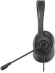 Наушники с микрофоном A4Tech Fstyler FH100U черный 2м накладные USB оголовье (FH100U (STONE BLACK)) Наушники с микрофоном A4Tech Fstyler FH100U черный 2м накладные USB оголовье (FH100U (STONE BLACK))