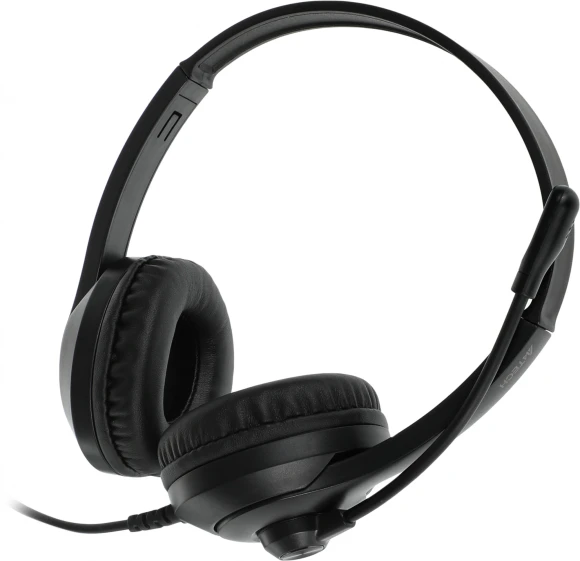 Наушники с микрофоном A4Tech Fstyler FH100U черный 2м накладные USB оголовье (FH100U (STONE BLACK)) Наушники с микрофоном A4Tech Fstyler FH100U черный 2м накладные USB оголовье (FH100U (STONE BLACK))