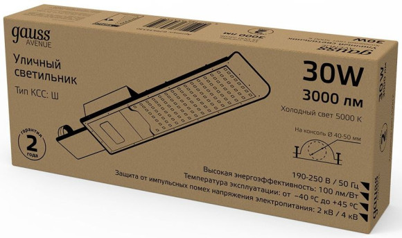 Светильник консольный Gauss 629534330 30Вт ламп.:30шт черный Светильник консольный Gauss 629534330 30Вт ламп.:30шт черный