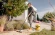 Строительный пылесос Karcher WD 2 Plus V-12/4/18 1000Вт (уборка: сухая/влажная/выдув/сбор воды) желтый Строительный пылесос Karcher WD 2 Plus V-12/4/18 1000Вт (уборка: сухая/влажная/выдув/сбор воды) желтый