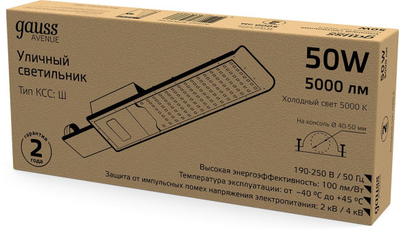 Светильник консольный Gauss 629534350 50Вт ламп.:50шт черный Светильник консольный Gauss 629534350 50Вт ламп.:50шт черный