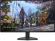 Монитор Dell 27" Alienware AW2725QF черный IPS LED 16:9 HDMI матовая HAS Piv 400cd 178гр/178гр 3840x2160 180Hz DP 4K USB 7.15кг Монитор Dell 27" Alienware AW2725QF черный IPS LED 16:9 HDMI матовая HAS Piv 400cd 178гр/178гр 3840x2160 180Hz DP 4K USB 7.15кг