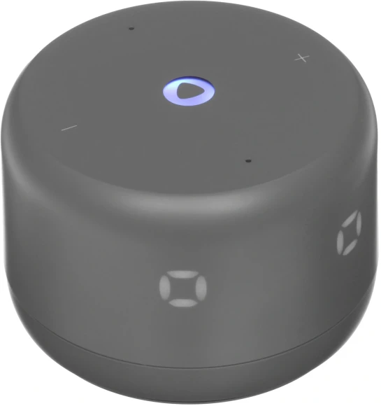 Умная колонка Yandex Стрит Алиса фиолетовый 30W 2.0 BT/Wi-Fi 10м 3300mAh (YNDX-00030VIO)