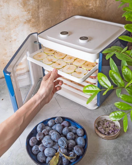 Сушка для фруктов и овощей Starwind SFD6431 6под. 400Вт синий