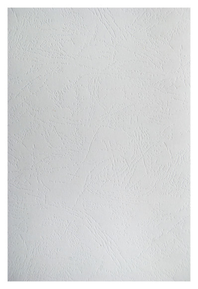 Обложки для переплёта Silwerhof A4 230г/м2 белый (100шт) (1449325) Обложки для переплёта Silwerhof A4 230г/м2 белый (100шт) (1449325)