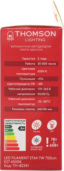 Лампа филам. Thomson Filament TH-B2341 7Вт цок.:E27 эдисон 220B св.свеч.бел.хол. ST64 (упак.:1шт)