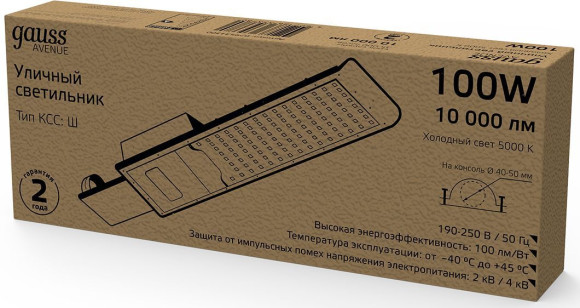 Светильник консольный Gauss 629534300 100Вт ламп.:1шт черный Светильник консольный Gauss 629534300 100Вт ламп.:1шт черный