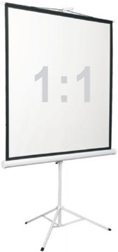 Экран Digis 96" 172x172см Kontur-D DSKD-1104 1:1 напольный рулонный Экран Digis 96" 172x172см Kontur-D DSKD-1104 1:1 напольный рулонный