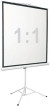 Экран Digis 96" 172x172см Kontur-D DSKD-1104 1:1 напольный рулонный