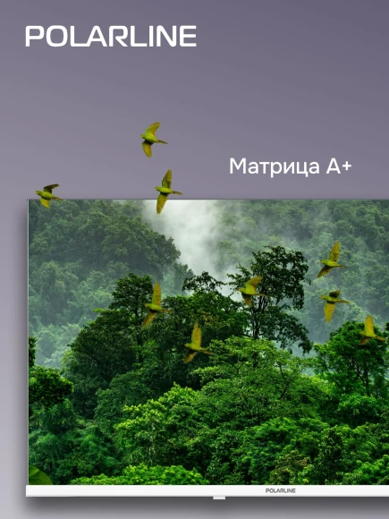 Телевизор LED PolarLine 32" 32PL53TC белый HD 60Hz DVB-T DVB-T2 DVB-C DVB-S2 USB (RUS)
