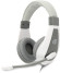 Наушники с микрофоном Оклик HS-L600 серый 1.8м мониторные оголовье (1532023)