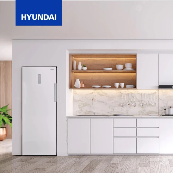 Морозильная камера Hyundai CU2505F белый Морозильная камера Hyundai CU2505F белый