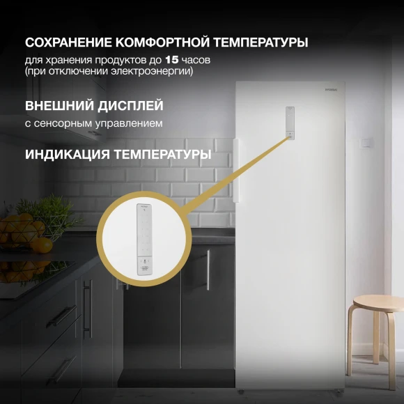 Морозильная камера Hyundai CU2505F белый Морозильная камера Hyundai CU2505F белый