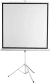 Экран Digis 86" 130x172см Kontur-D DSKD-4302 4:3 напольный рулонный