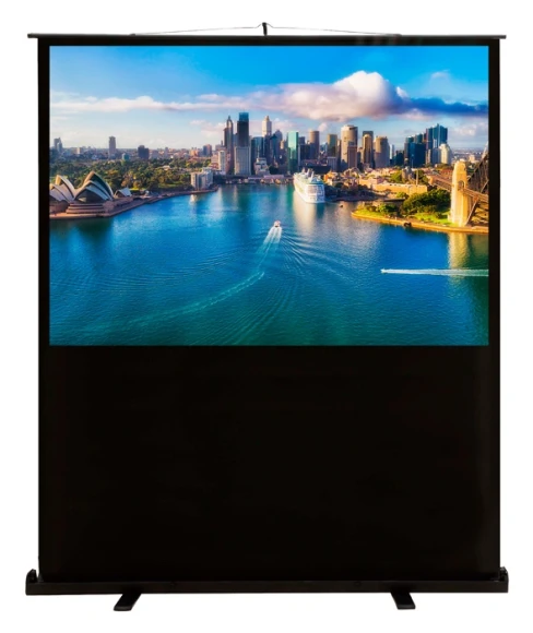 Экран Cactus 79" 120x160см FloorCompactExpert CS-PSFLCE-160X120 4:3 напольный рулонный Экран Cactus 79" 120x160см FloorCompactExpert CS-PSFLCE-160X120 4:3 напольный рулонный