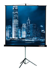 Экран Lumien 196" 305x406см Master Picture LMP-100114 4:3 настенно-потолочный рулонный белый