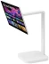 Монитор LG 31.5" UltraFine 32U889SA-W белый IPS LED 16:9 HDMI M/M глянцевая HAS Piv 1000:1 350cd 178гр/178гр 3840x2160 60Hz 4K USB Touch 21.2кг