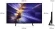 Телевизор OLED Samsung 48" QE48S90FAEXRU Series 9 черный графит 4K Ultra HD 120Hz DVB-T2 DVB-C DVB-S2 USB WiFi Smart TV